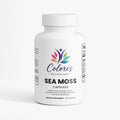 Sea Moss